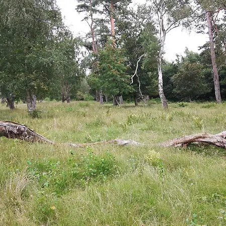 Casa vacanze Modern Oasis In Marielyst-by Traum *