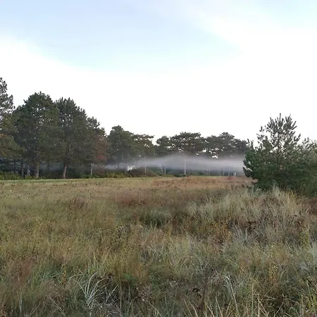 Casa vacanze Modern Oasis In Marielyst-by Traum Bøtø By