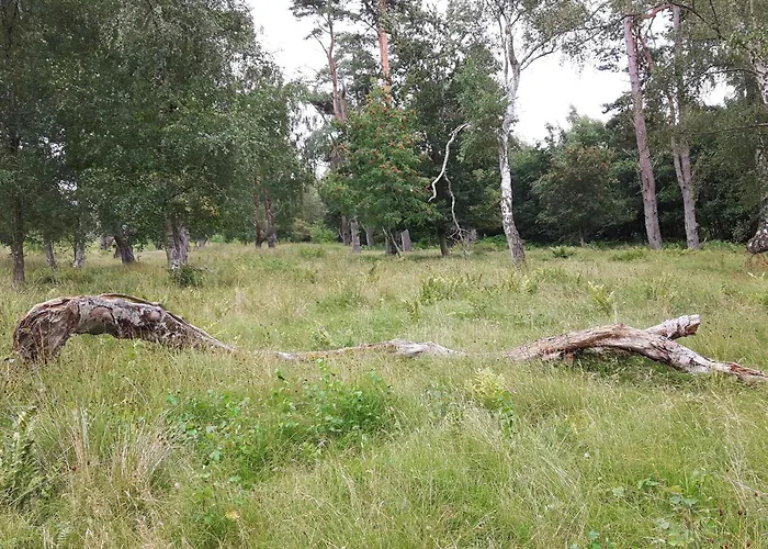 Casa vacanze Modern Oasis In Marielyst-by Traum *