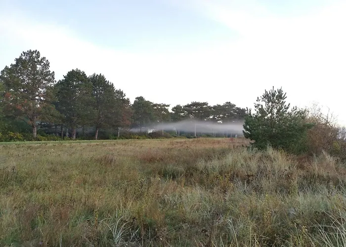 Casa vacanze Modern Oasis In Marielyst-by Traum Bøtø By