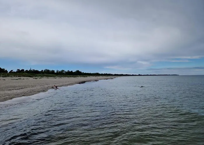 Modern Oasis In Marielyst-by Traum *